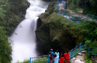 Davis Fall
