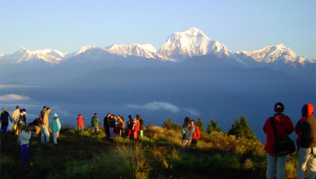 Ghorepani Poon Hill Trek